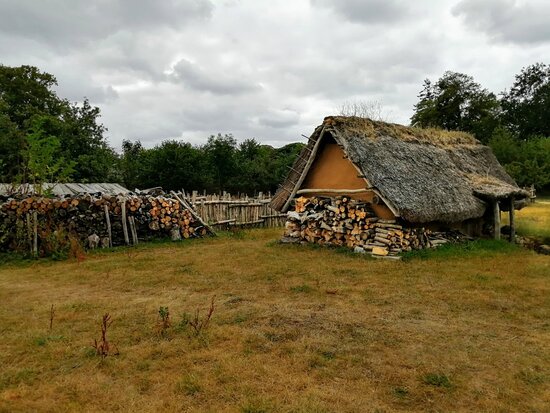 Ornavik