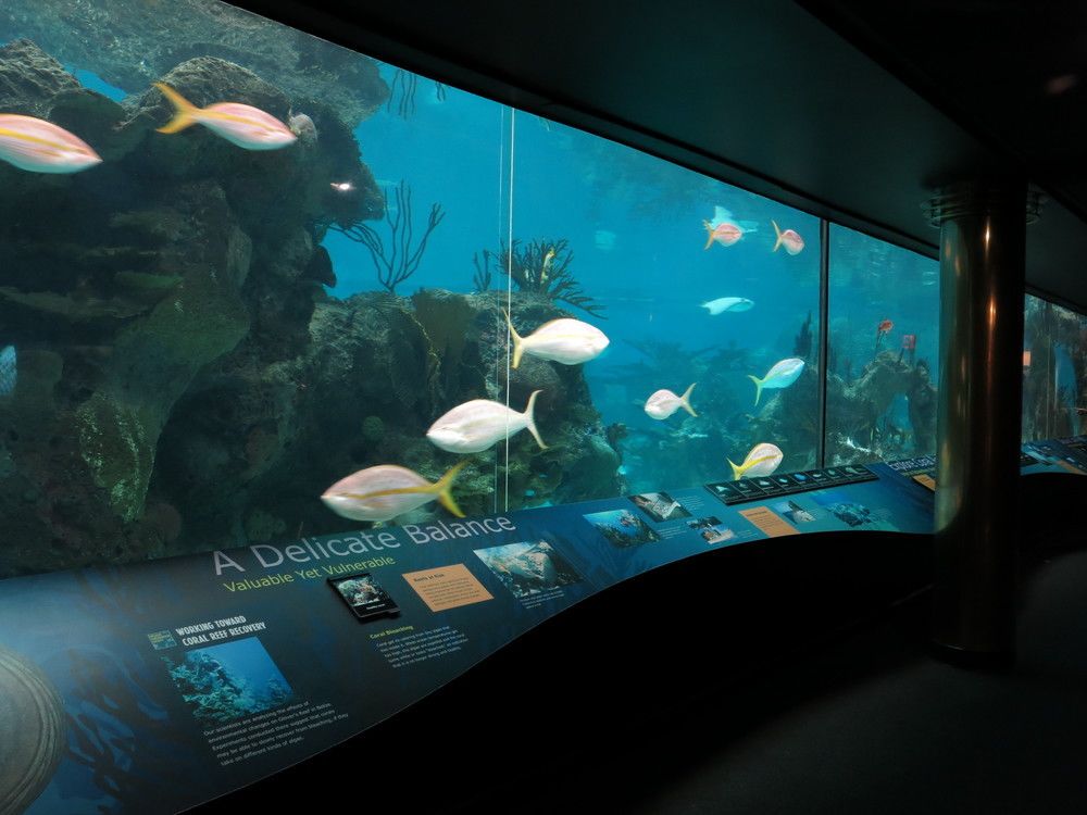 la cité de la mer